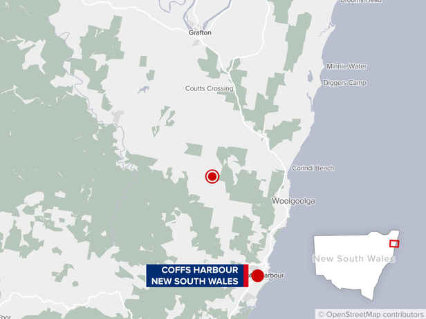 Woman fighting for life after alleged hit and run