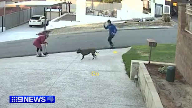 Woman mauled and her pet killed in vicious dog attack